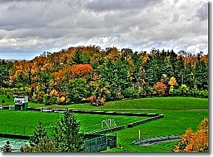 LMC 10/16/08
                  Fall Colors