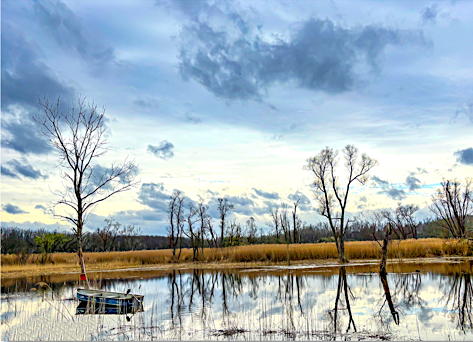 Cedar Bay Rd. Boat & Water