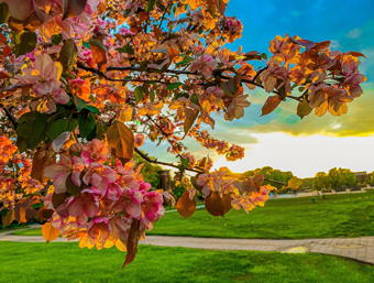 Sunset at Le Moyne College