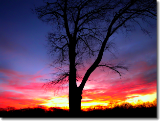 [After
                  Sunset - Fairfield, CT]