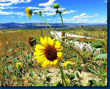 Front Range
                    of the Rockies (Boulder, CO)