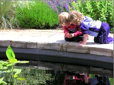 Exploring the Denver Botanical Garden