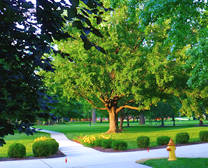 Hood
                  College, Frederick, MD