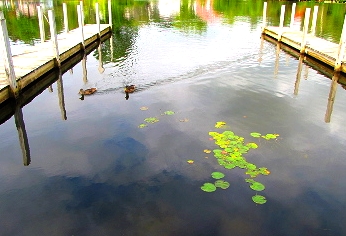 [Wolfeboro, NH]